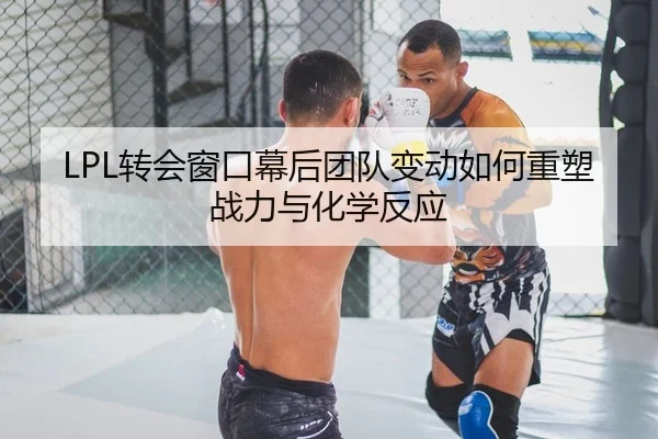 LPL转会窗口幕后团队变动如何重塑战力与化学反应